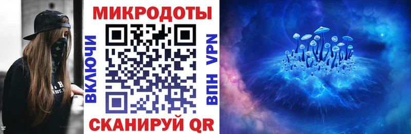 магазин продажи Шумерля Галлюциногенные грибы Psilocybe